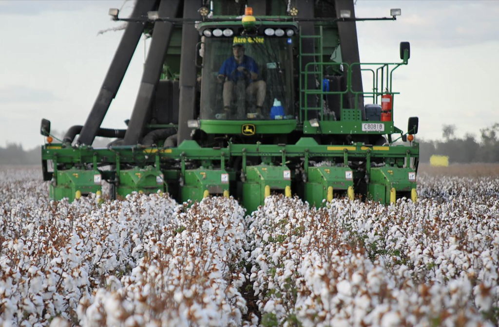 Greenhouse-Gas-Emissions_Better-Cotton-Initiative-Sustainability-Issues_2