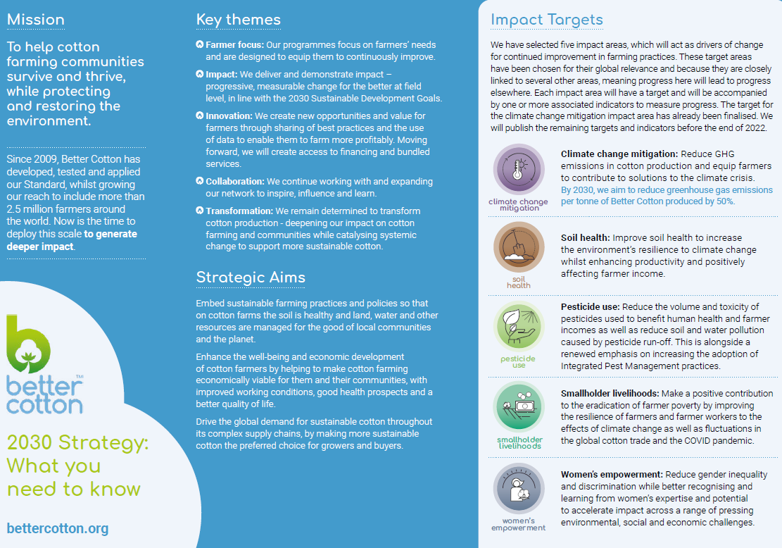 2030 Strategy Summary